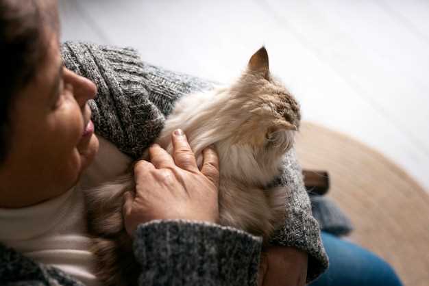 Finding Solace in the Heartache of Pet Loss Finding Solace in the Heartache of Pet Loss