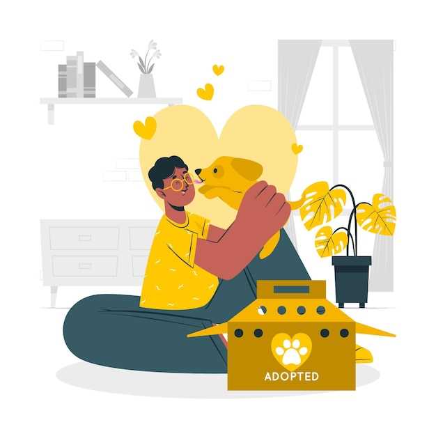 Honoring Your Furry Friend with a Timeless Pet Memorial Honoring Your Furry Friend with a Timeless Pet Memorial