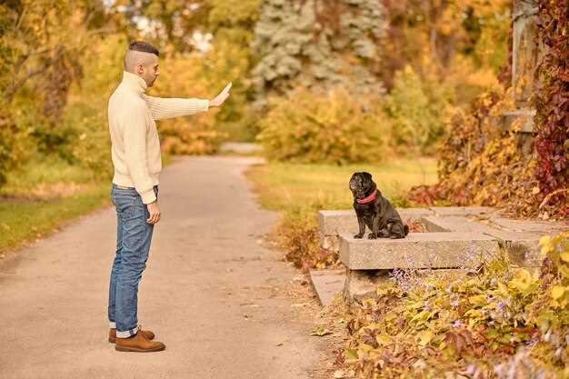 Designing a Pet Memorial Garden - A Peaceful Place to Remember Designing a Pet Memorial Garden - A Peaceful Place to Remember
