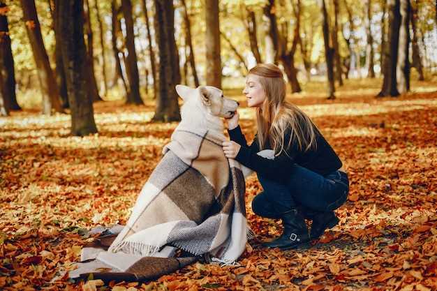 Meaningful Ways to Remember and Honor Your Cherished Pet Meaningful Ways to Remember and Honor Your Cherished Pet