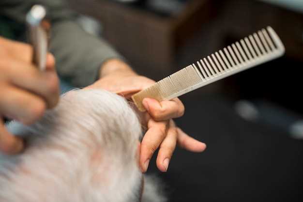 Maltese Dog Grooming Tips for a Healthy and Shiny Coat Maltese Dog Grooming Tips for a Healthy and Shiny Coat