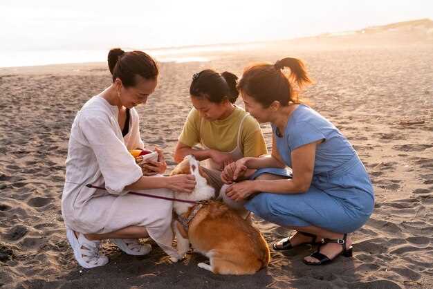 Practical Tips for Coping with Pet Loss – Finding Comfort and Healing